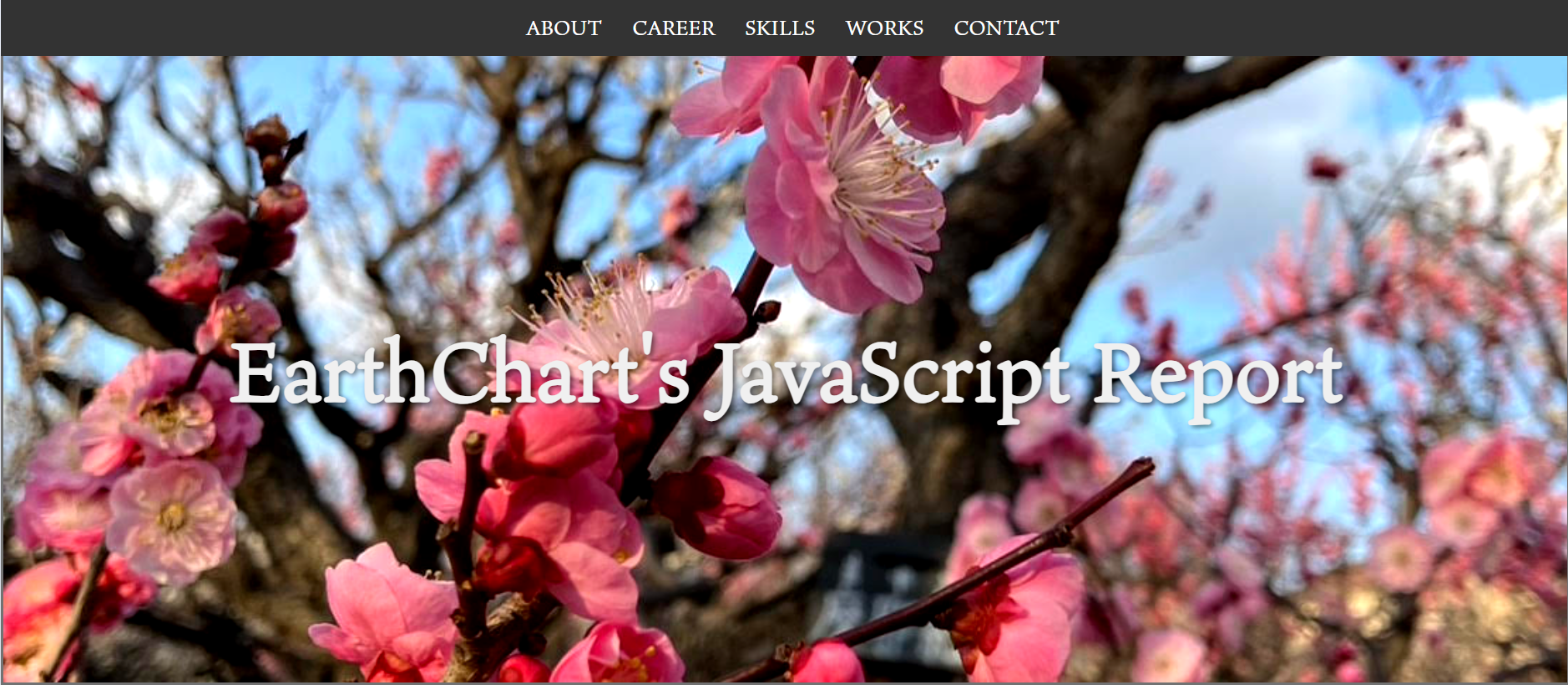 JavaScript_Canvas