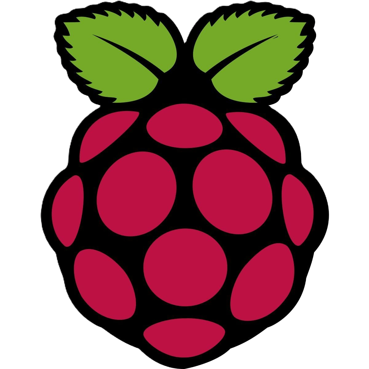 Raspberry Pi
